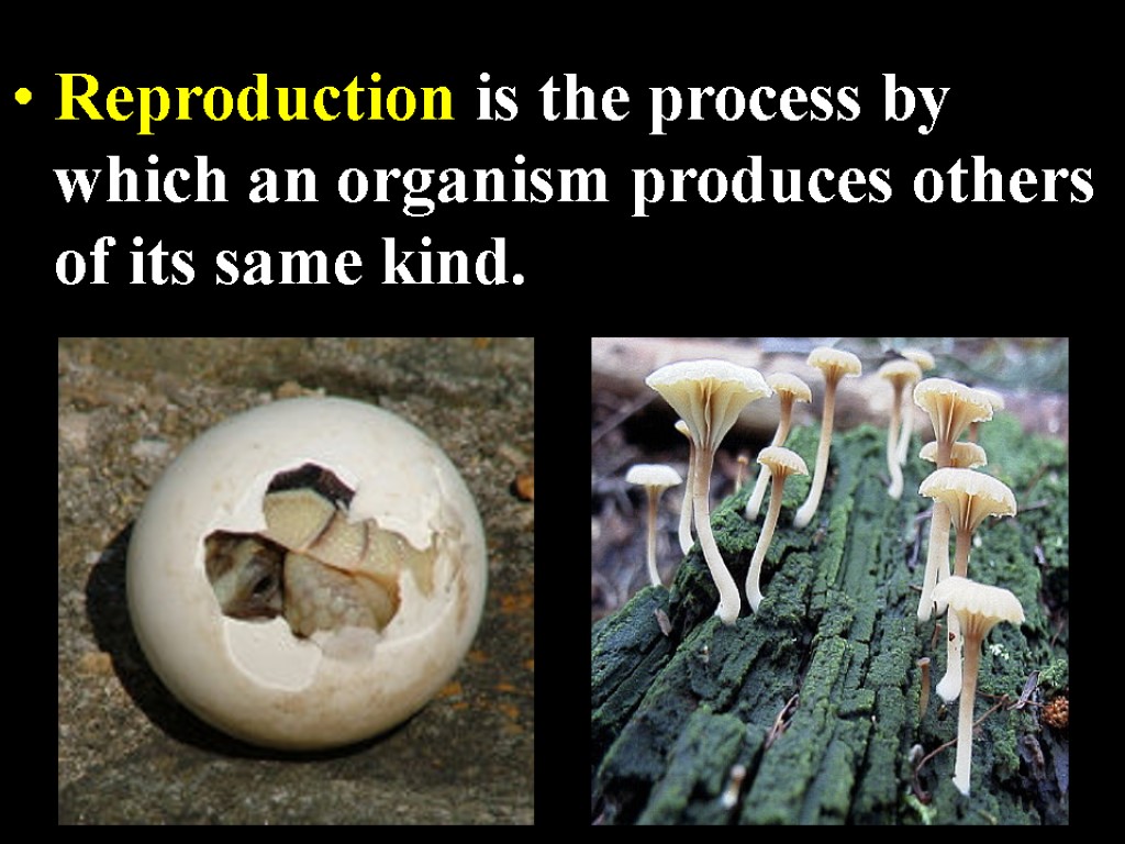 Reproduction is the process by which an organism produces others of its same kind.